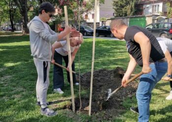 Благороден жест: Юбилярка дари 50 дървета на парк “Кронщад”