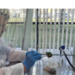 ucheni laboratoria 2