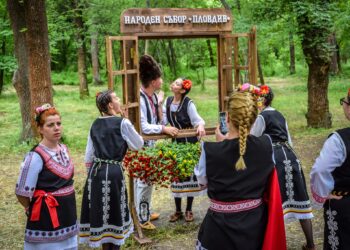 naroden sybor lauta