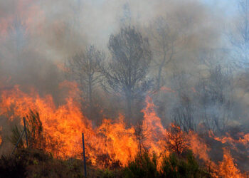 Fire in Mediterranean region.