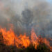 Fire in Mediterranean region.