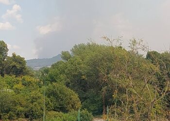 pojar 1