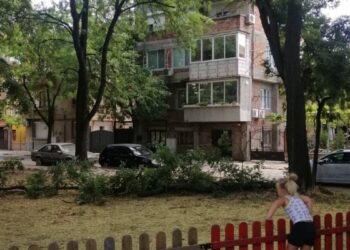 park kronshtad lili