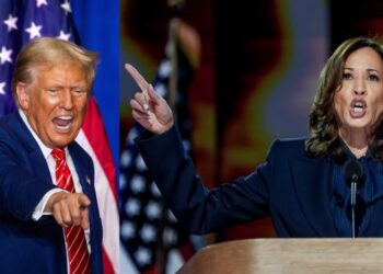harris trump