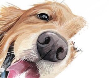 paint your pet