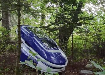 Reuters:The first use of Sarco capsule took place in the middle of the forest, according to the creators of the device