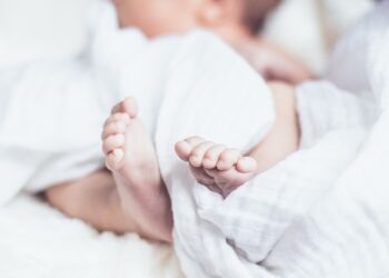 bebe