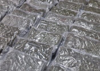 marihuana 2