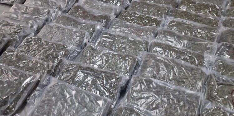 marihuana 2