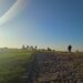 nebet tepe 5