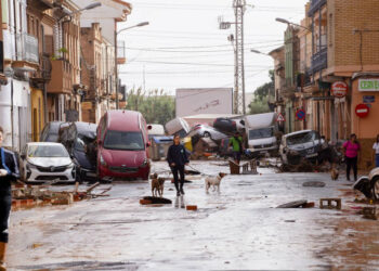 (Photo by Alex Juarez/Anadolu via Getty Images)