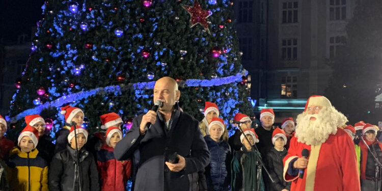 Елха в Пловдив