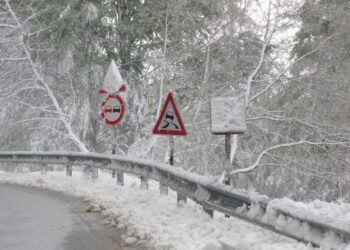 prohoda rojen sniag