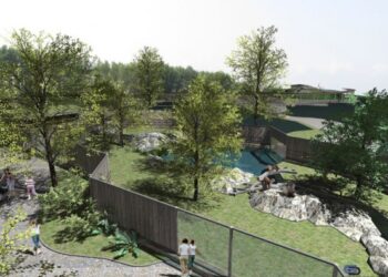 zoopark 2