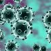 koronavirus kovid photo