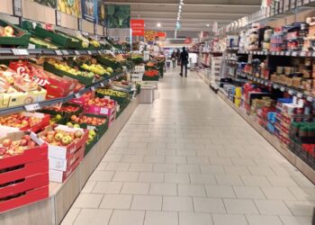 lidl 1 1