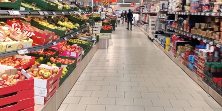 lidl 1 1