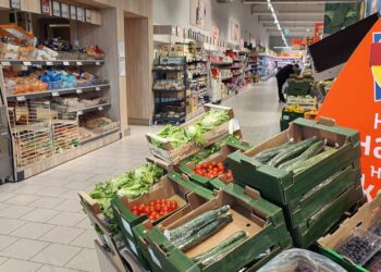 lidl 5 1