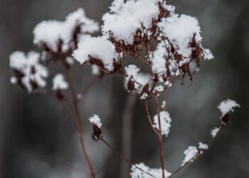 Свърши авантата с благото време - ще зъзнем, вижте до кога