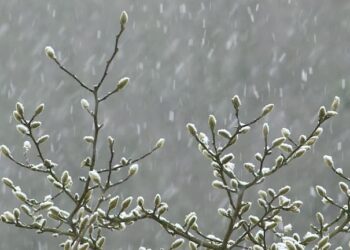Авантата приключи: Започва рязка промяна на времето
