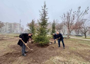 Приключи пролетната залесителна акция в Пловдив