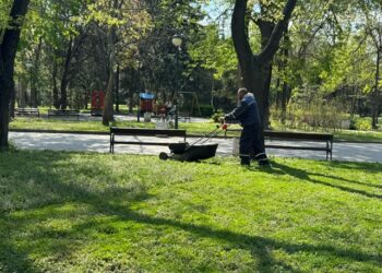 Ударно косят тревните площи в Пловдив