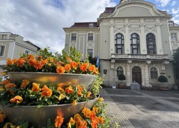 obstina plovdiv