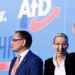 alternativa za germaniia