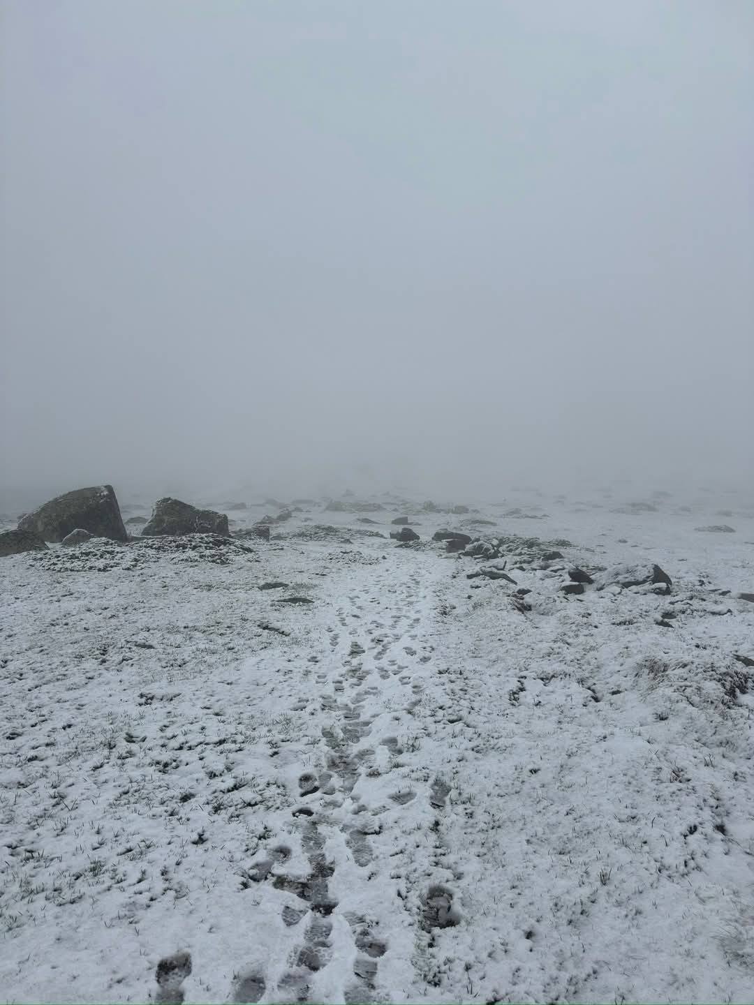 vitosha 2