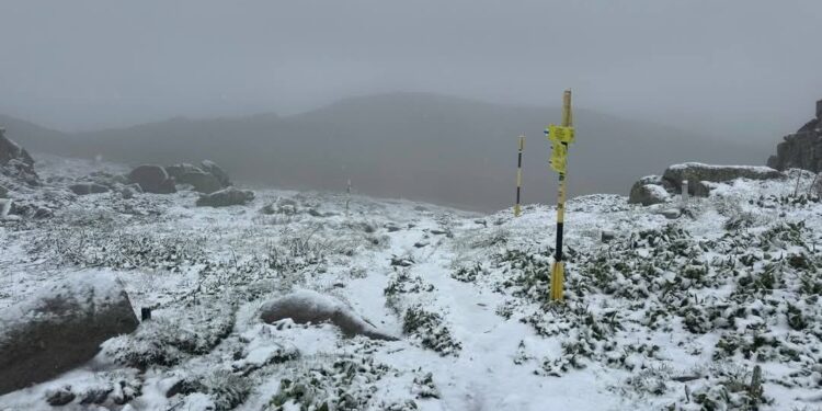 vitosha 3
