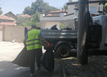 rodopa 14