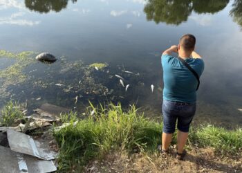 Откриха умряла риба край Пловдив, търсят виновника за замърсяването