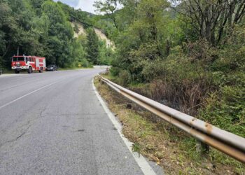 gora spasena pojar