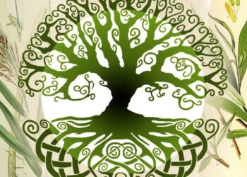 horoscope kelti 22august