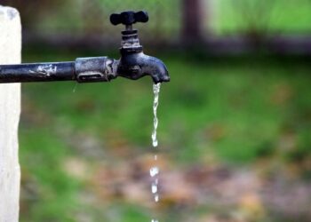 picture1