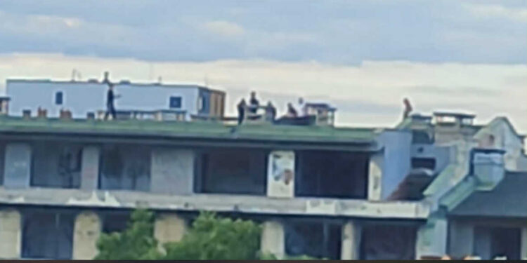 proslav