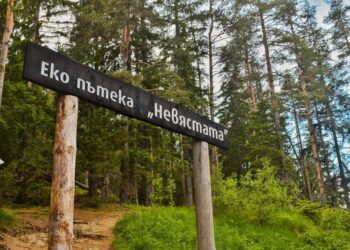 От прокуратурата в Пловдив със смразяващи разкрития за трупа на екопътека “Невястата”