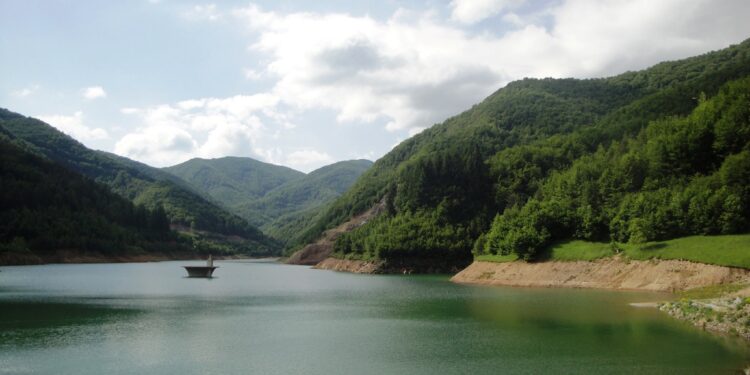 plovdivci