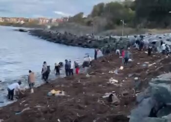 Столевки плуват в морето, разби се отнесена от пороя каса
