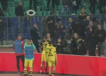 botev fenove nakazanie