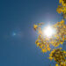 esen