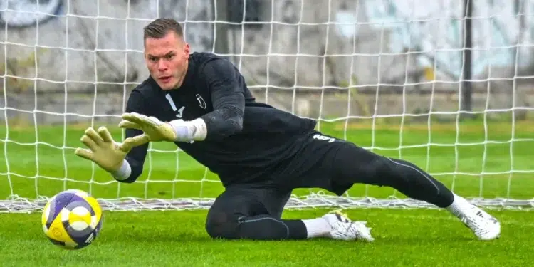 milosavlevich loko vratar