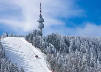 sniag pamporovo