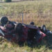 picture1 38
