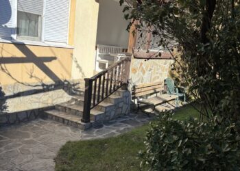 markovo 5