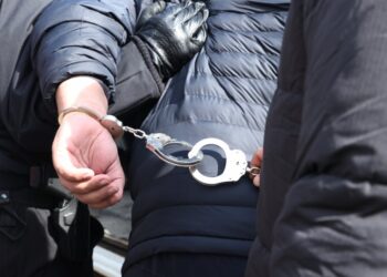 Тийнейджър уби майка си с чук след „консултация“ с изкуствен интелект