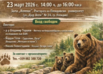 forum 28