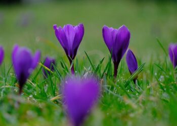 horoscope 21 mart