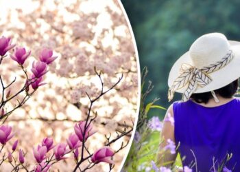 horoscope 6 april