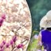 horoscope 6 april
